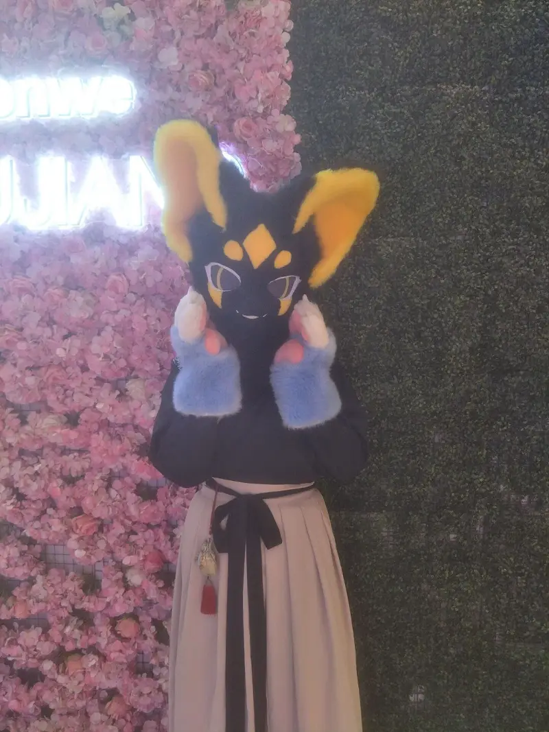 FURRY,福瑞,健康生活