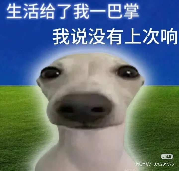 蓝与白杂志,星空
