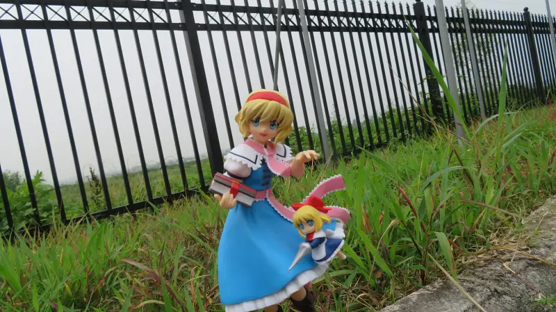 摄影