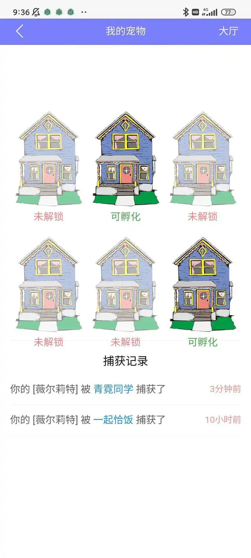 用户交流,宠物