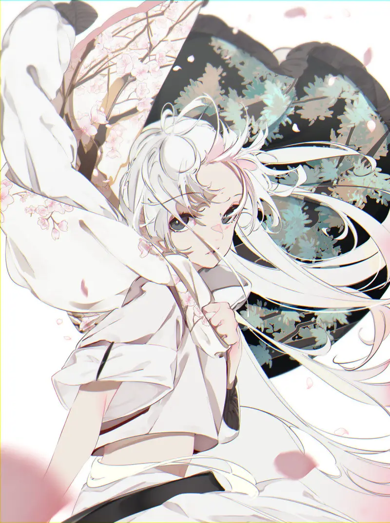 M站美图,PIXIV,插画