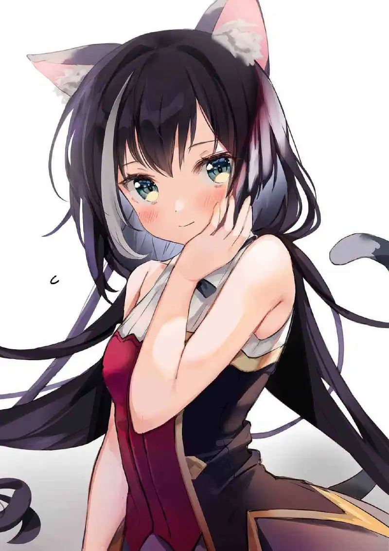 每日美图