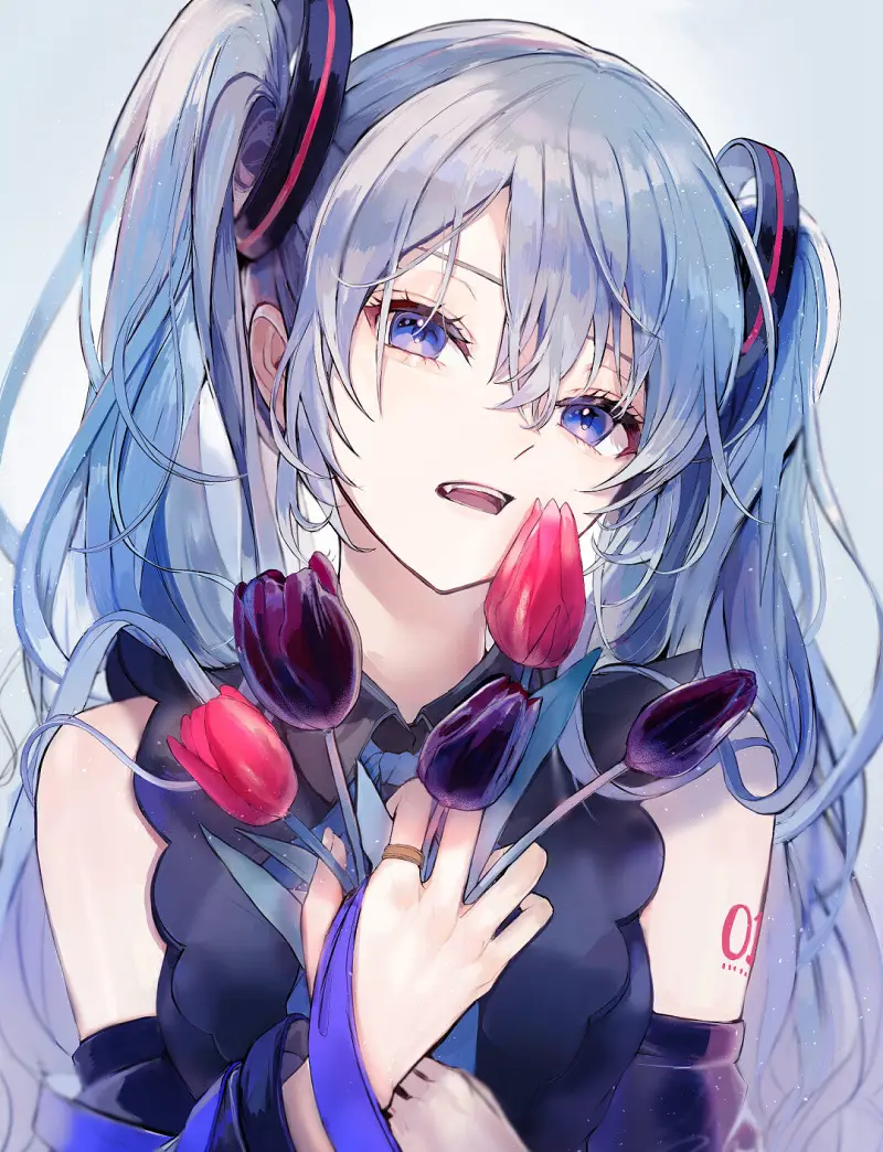 初音未来,美图,P站美图