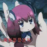 新人报道,新人