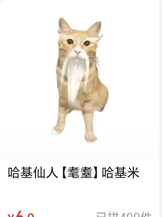 喵喵喵