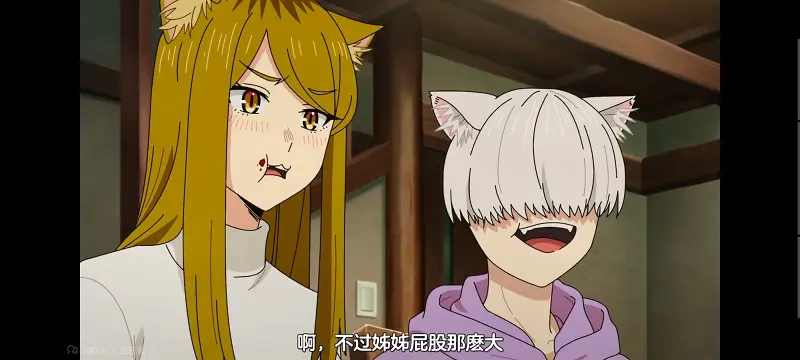 尼古喵喵,雅尼猫,动画,动漫,番剧,日漫,二次元,ACG