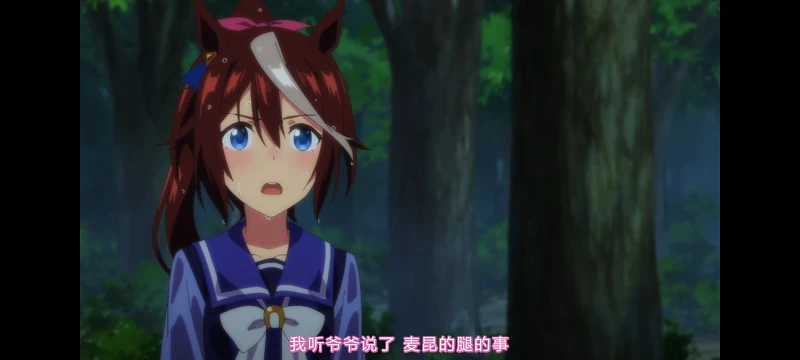 赛马娘,赛马娘第二季,赛马娘PrettyDerby,动画,动漫,番剧,二次元,ACG