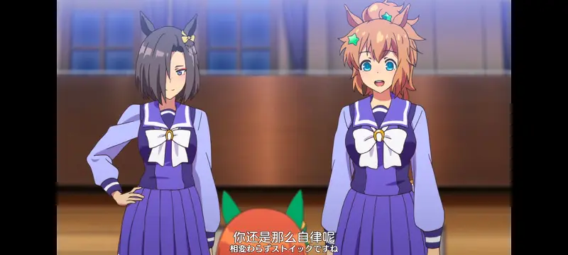 赛马娘,赛马娘PrettyDreby,动画,动漫,番剧,ACG