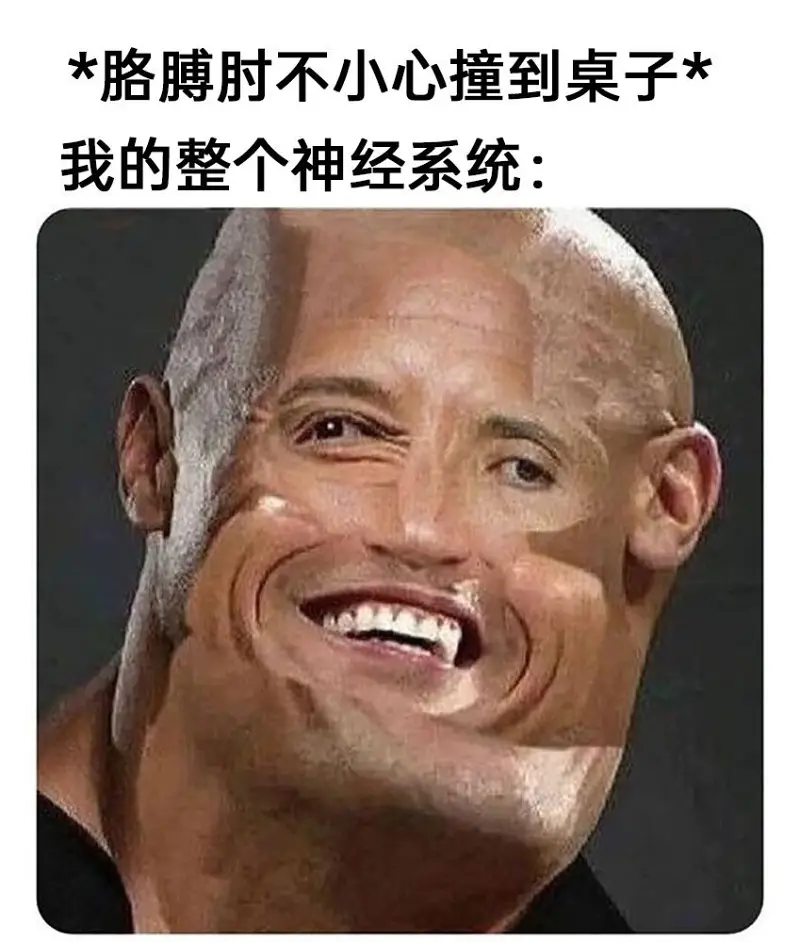 meme,模因,搞笑