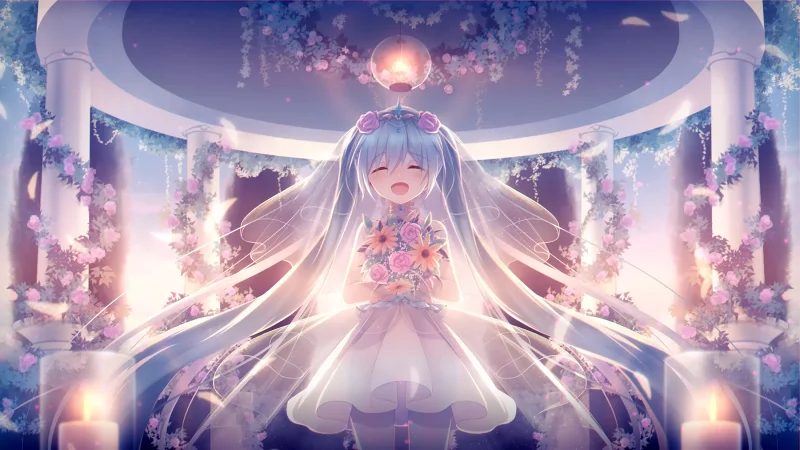 二次元