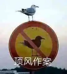 闲聊茶馆,图片,故意挑事