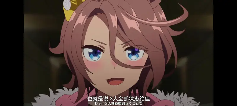 赛马娘,赛马娘PrettyDreby,动画,动漫,番剧,ACG