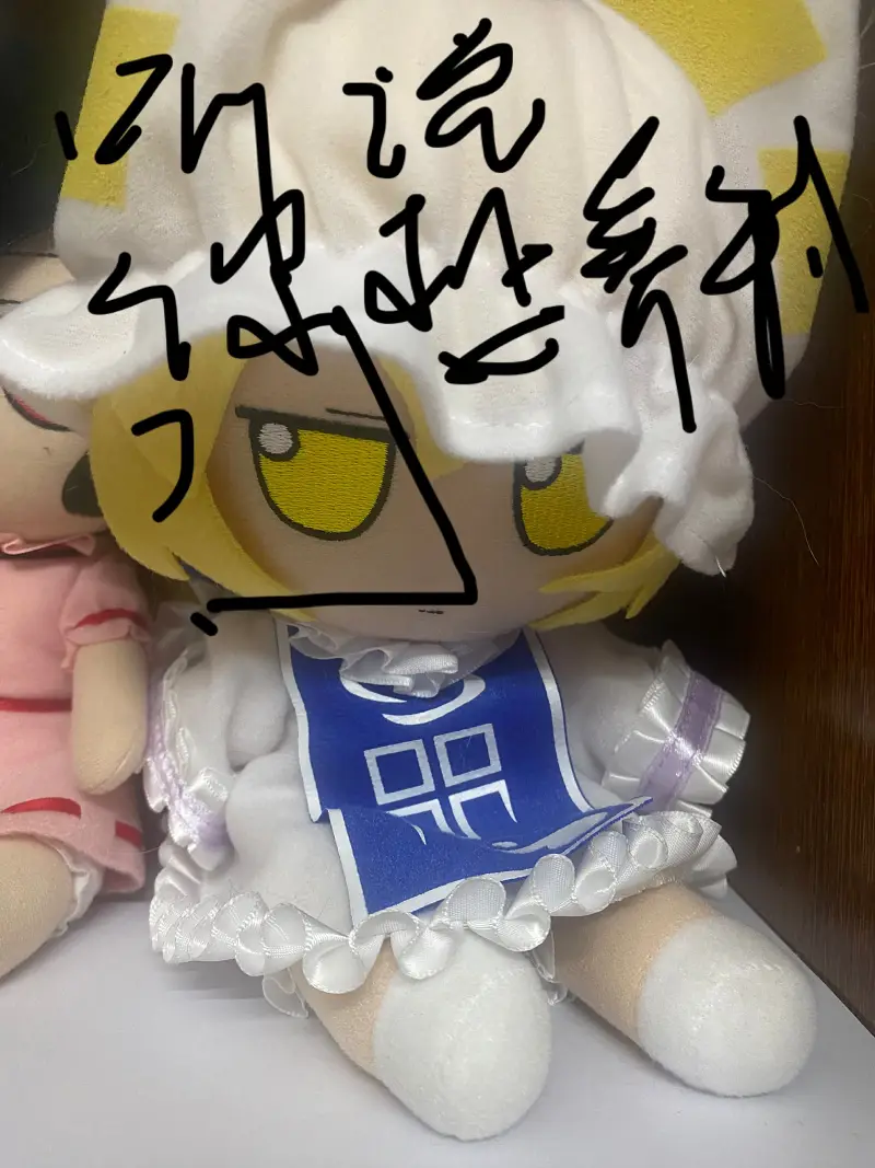 关于如何饲养一只fumo