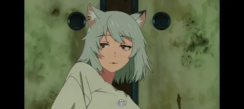雅尼猫,尼古喵喵,动画,动漫,番剧,日漫,二次元,ACG