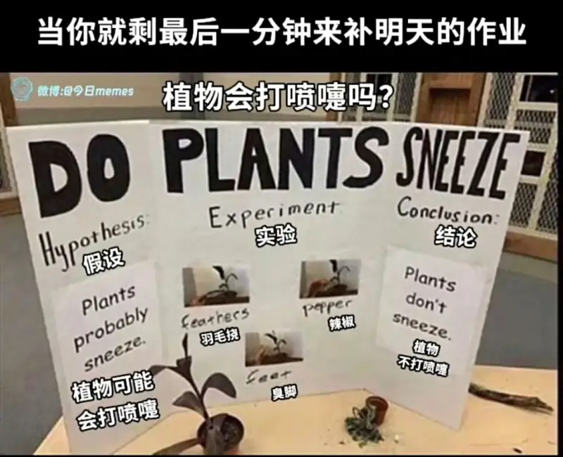 梗图