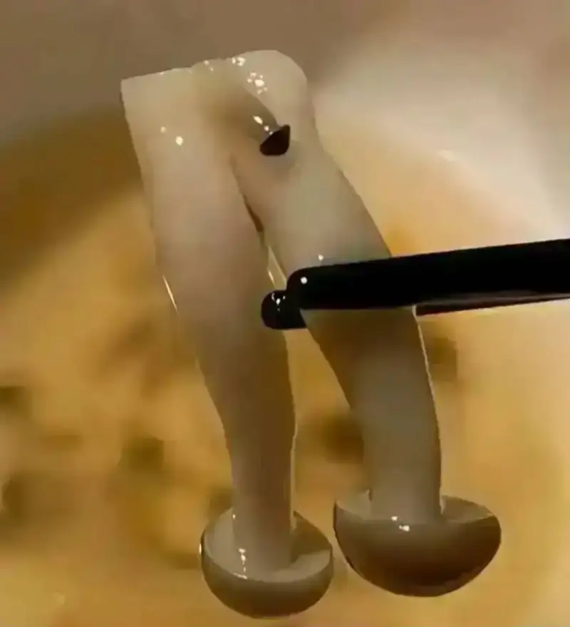动图,GIF,meme