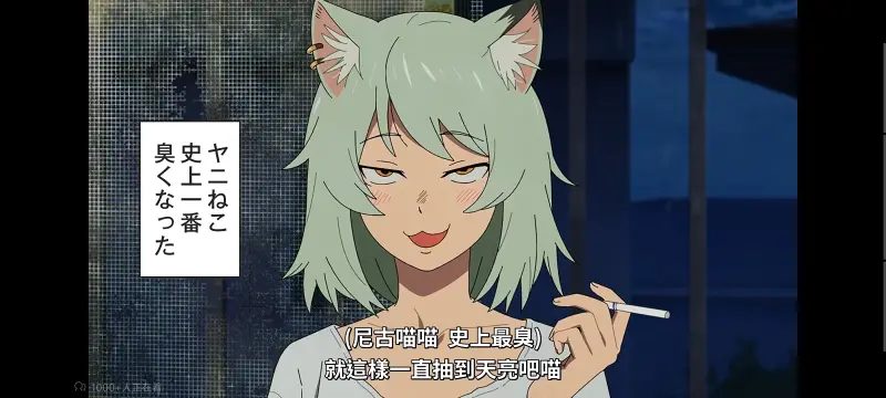 尼古喵喵,雅尼猫,动画,动漫,番剧,日漫,二次元,ACG
