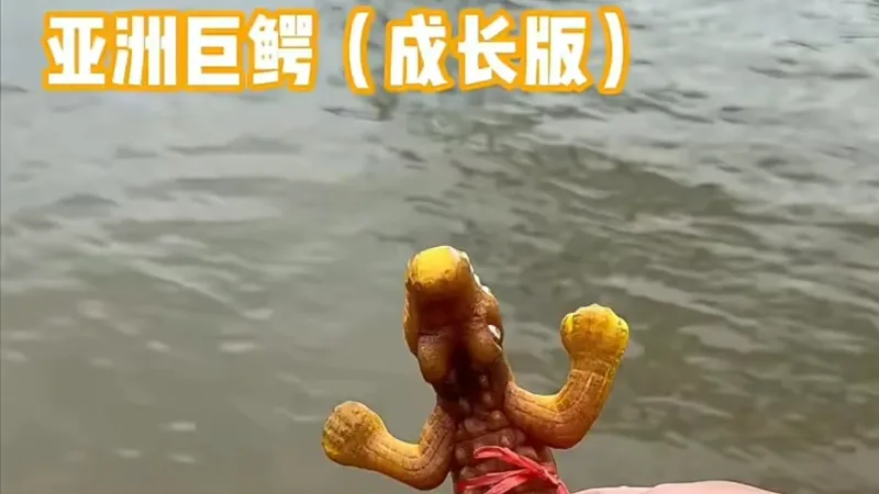 把进口泡大鳄鱼丢进水塘！它真的能长成巨鳄吗？
