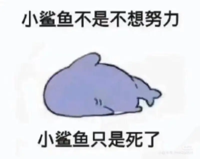 用户交流,无语