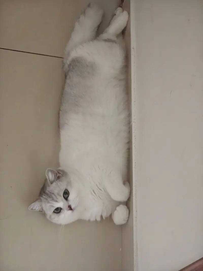 不知梦