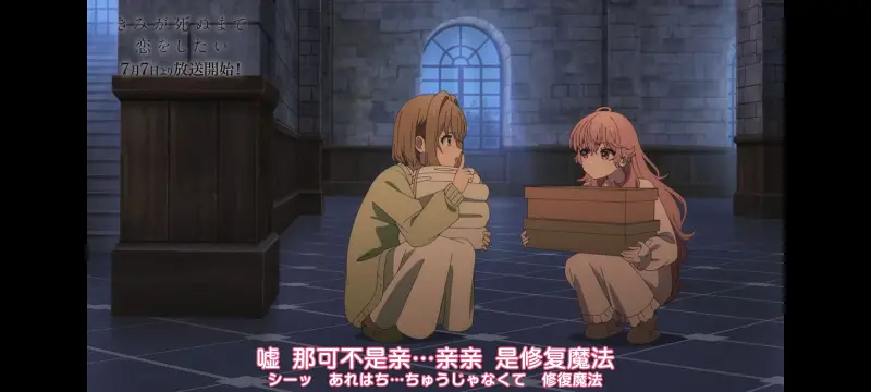 与你相恋到生命尽头,与你相恋到世界尽头,动画,动漫,番剧,百合,二次元,ACG