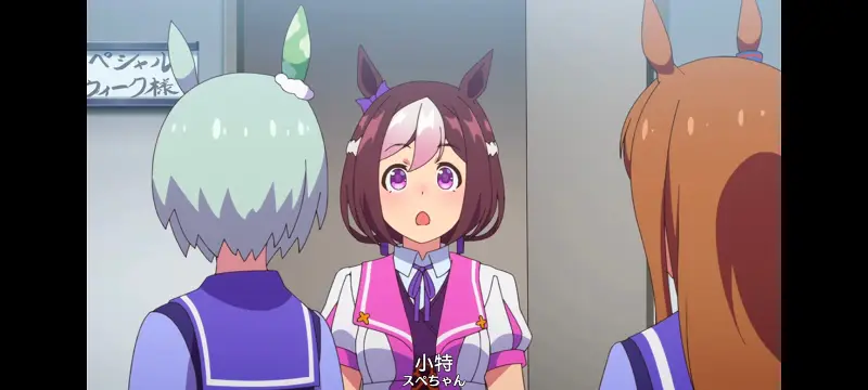 赛马娘,赛马娘PrettyDreby,动画,动漫,番剧,ACG