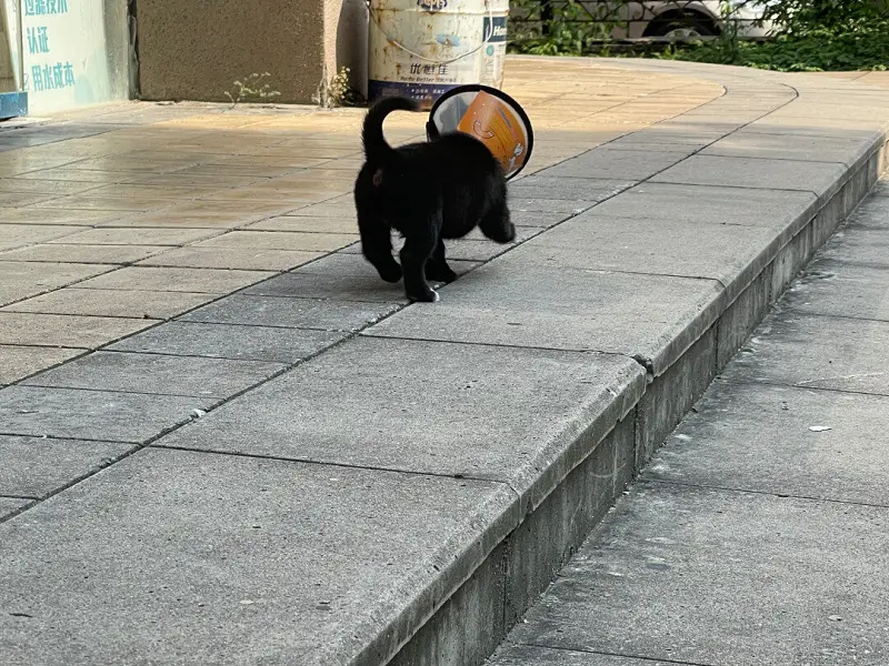 言说快乐 一些思考