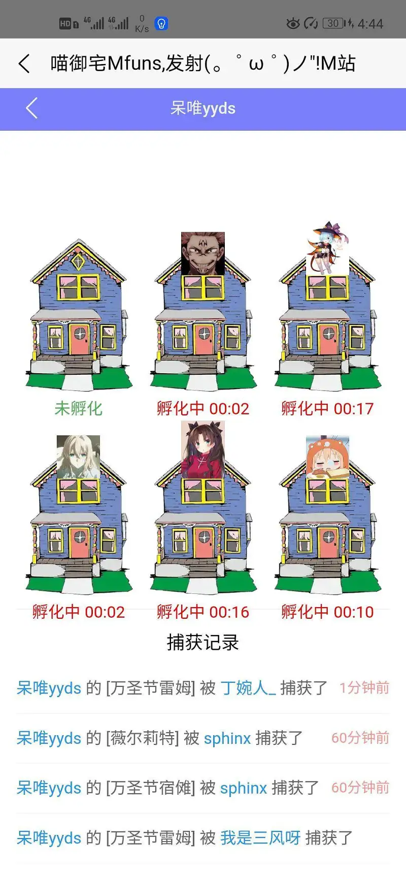 新人报道,养蛋
