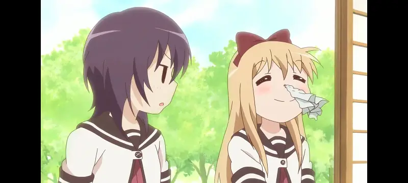 摇曳百合,百合,动画,动漫,番剧,二次元,ACG