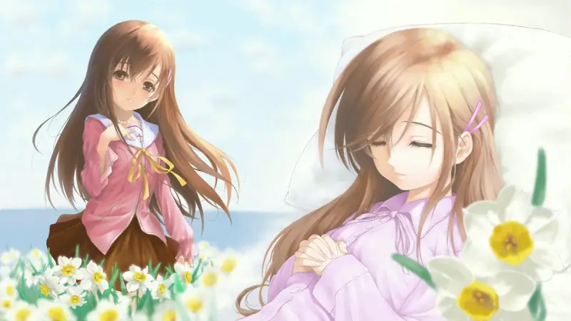 Narcissu,美图,GALGAME