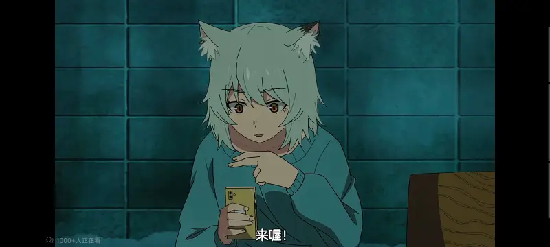 尼古喵喵,雅尼猫,动画,动漫,番剧,日漫,二次元,ACG