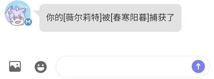 别偷了，别偷了。