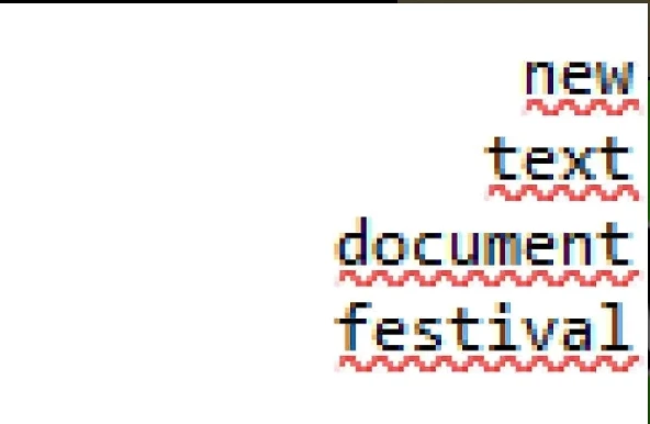 New Text Document Festival