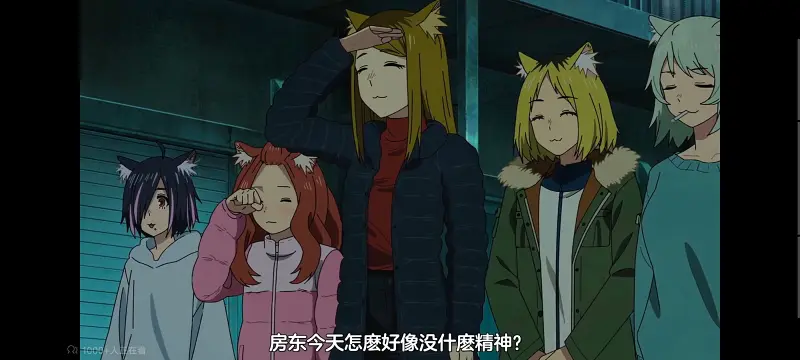 尼古喵喵,雅尼猫,动画,动漫,番剧,日漫,二次元,ACG