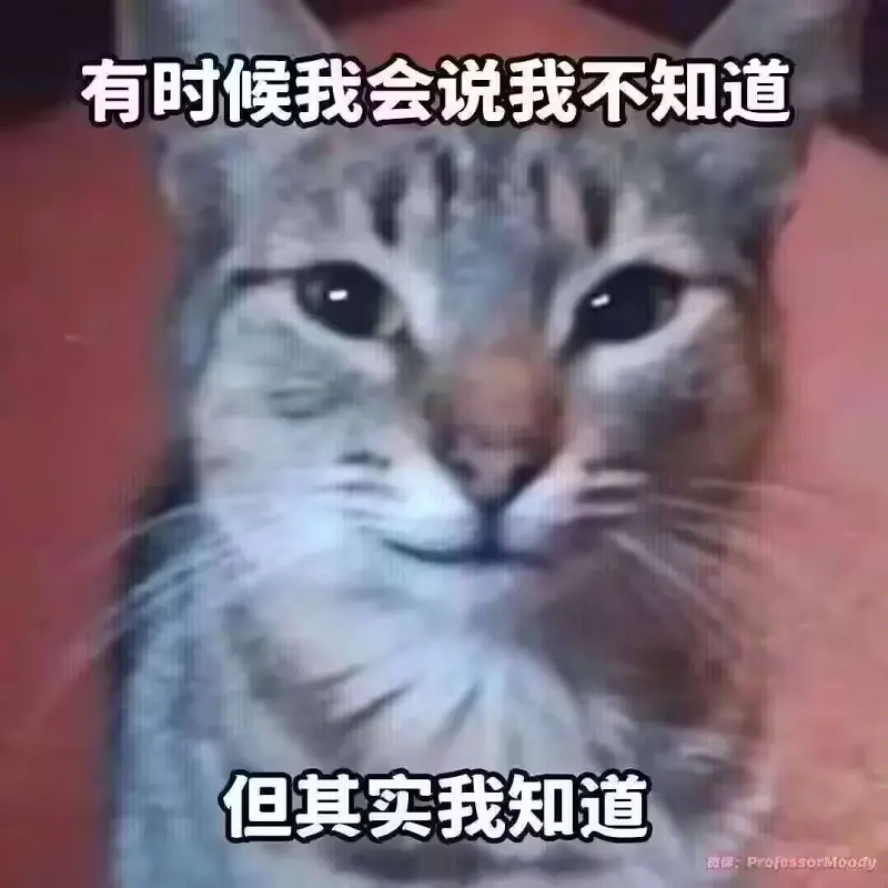弔图,meme,迷因