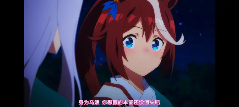 赛马娘,赛马娘PrettyDreby,动画,动漫,番剧,ACG