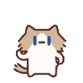 表情包,月薪喵,猫咪表情包,猫meme,哈基米