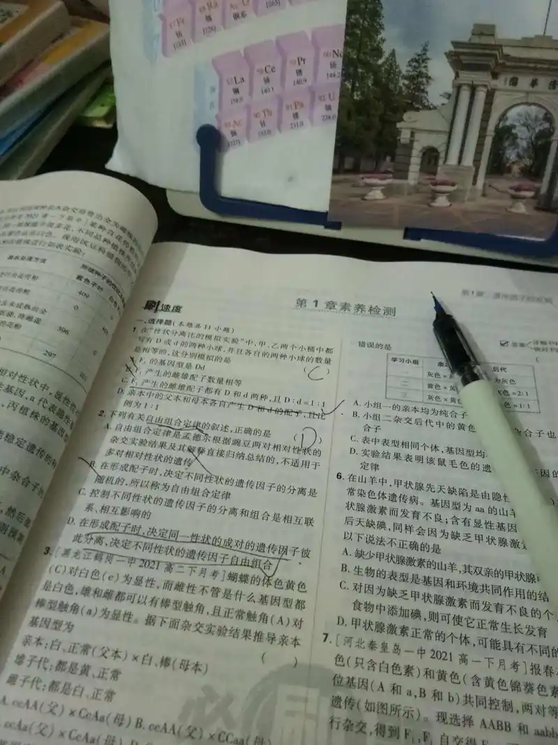 闲聊茶馆,退站,学习