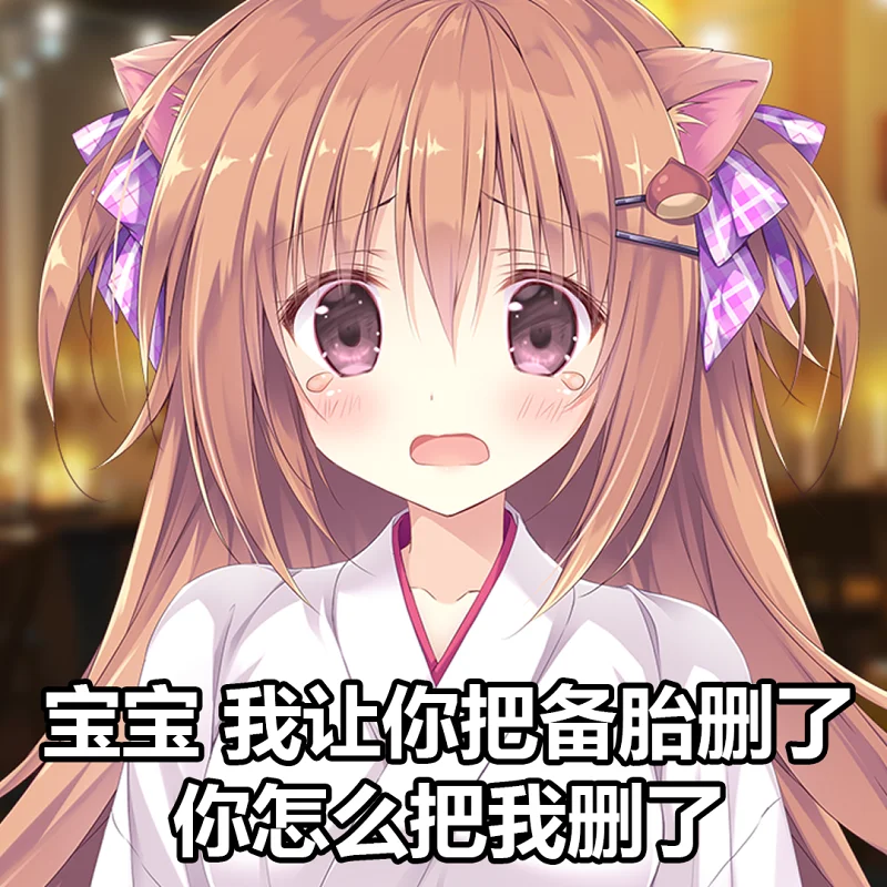 Galgame,巧可甜恋,表情包