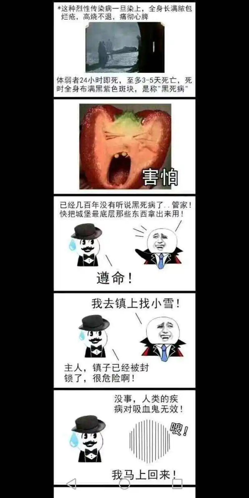 资本5