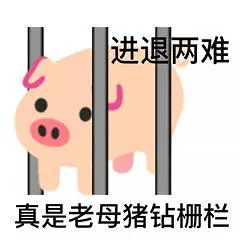 猪,猪猪,表情包