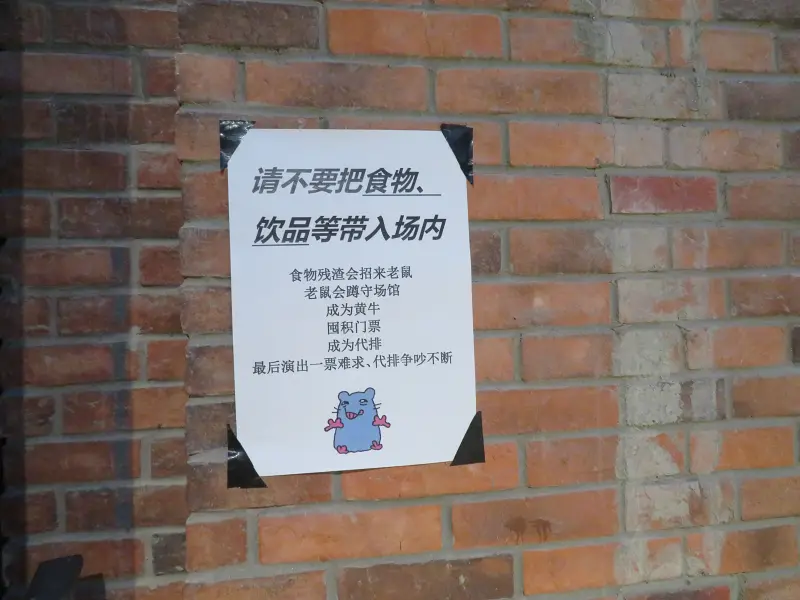 漫展,摄影
