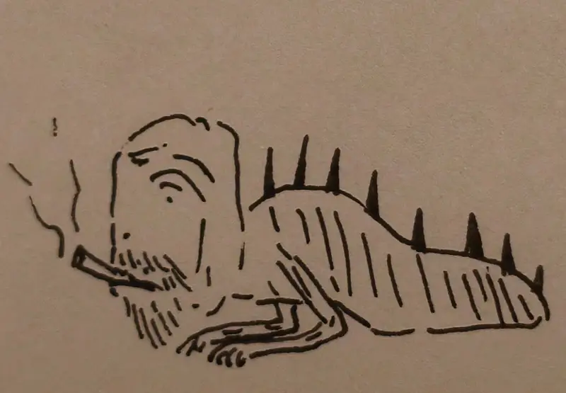 虫