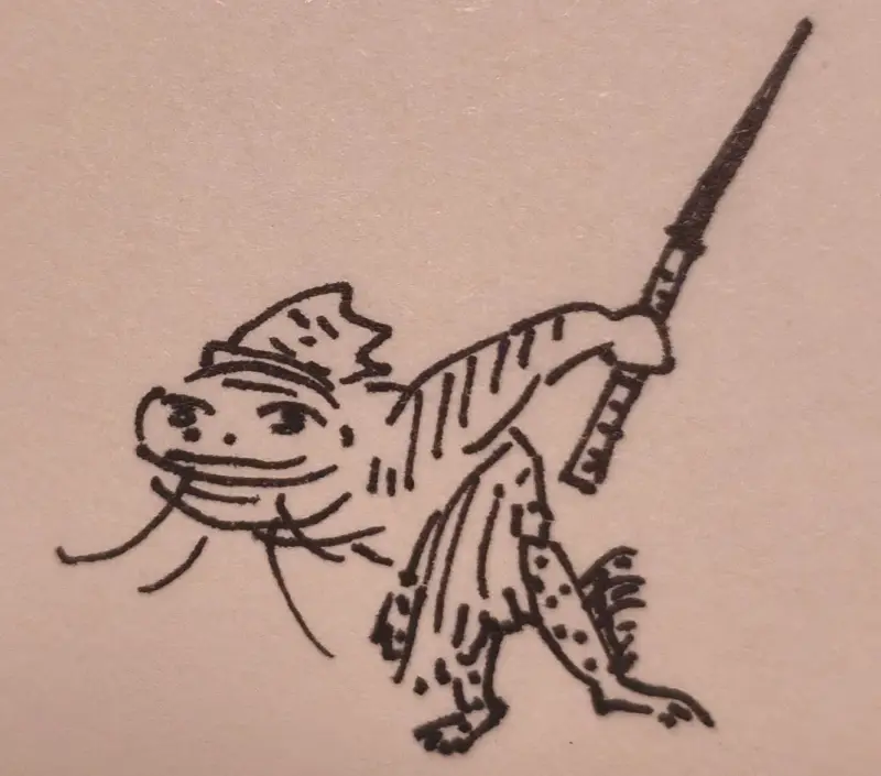 鱼