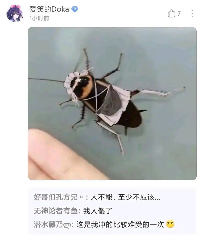 闲聊茶馆,动漫,美女,宠物