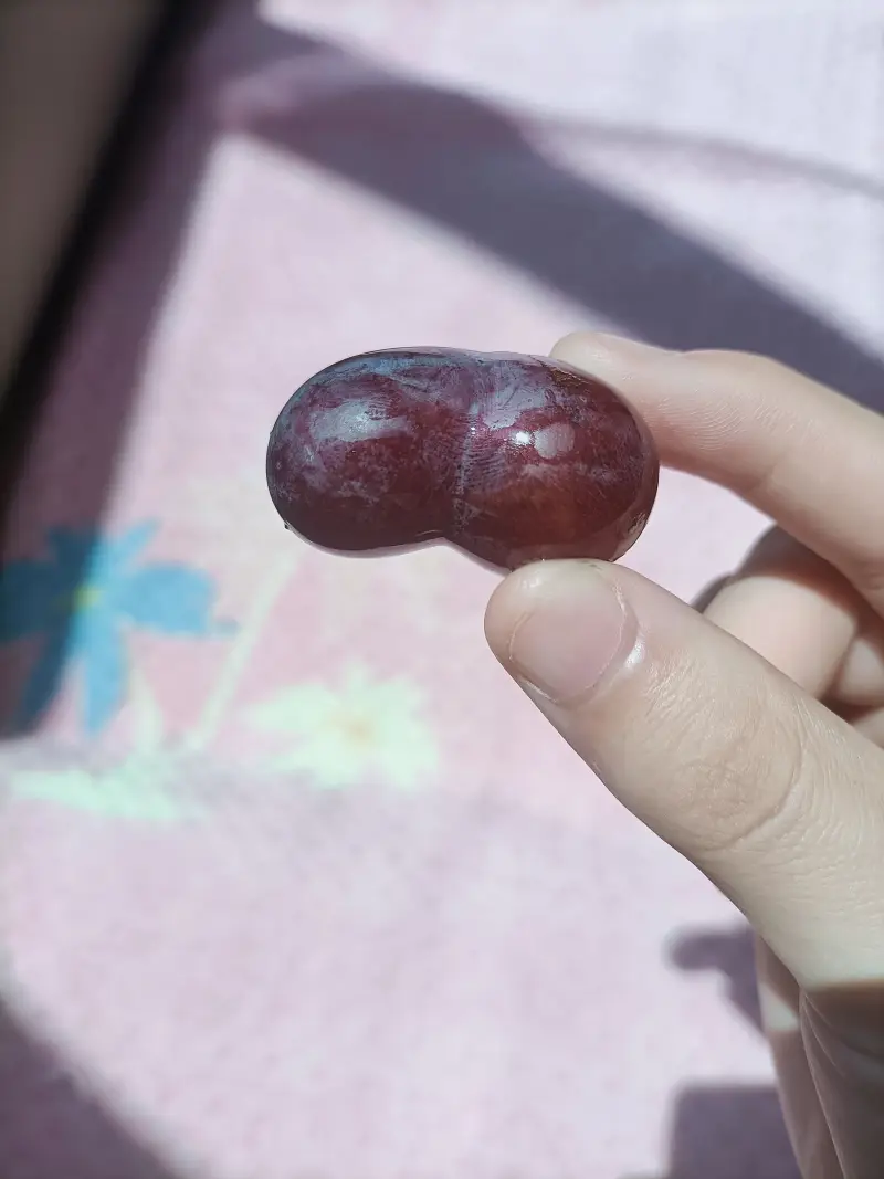 二次元,巨乳