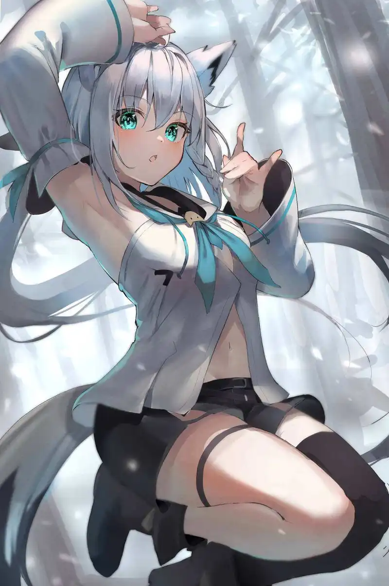 〔美图〕