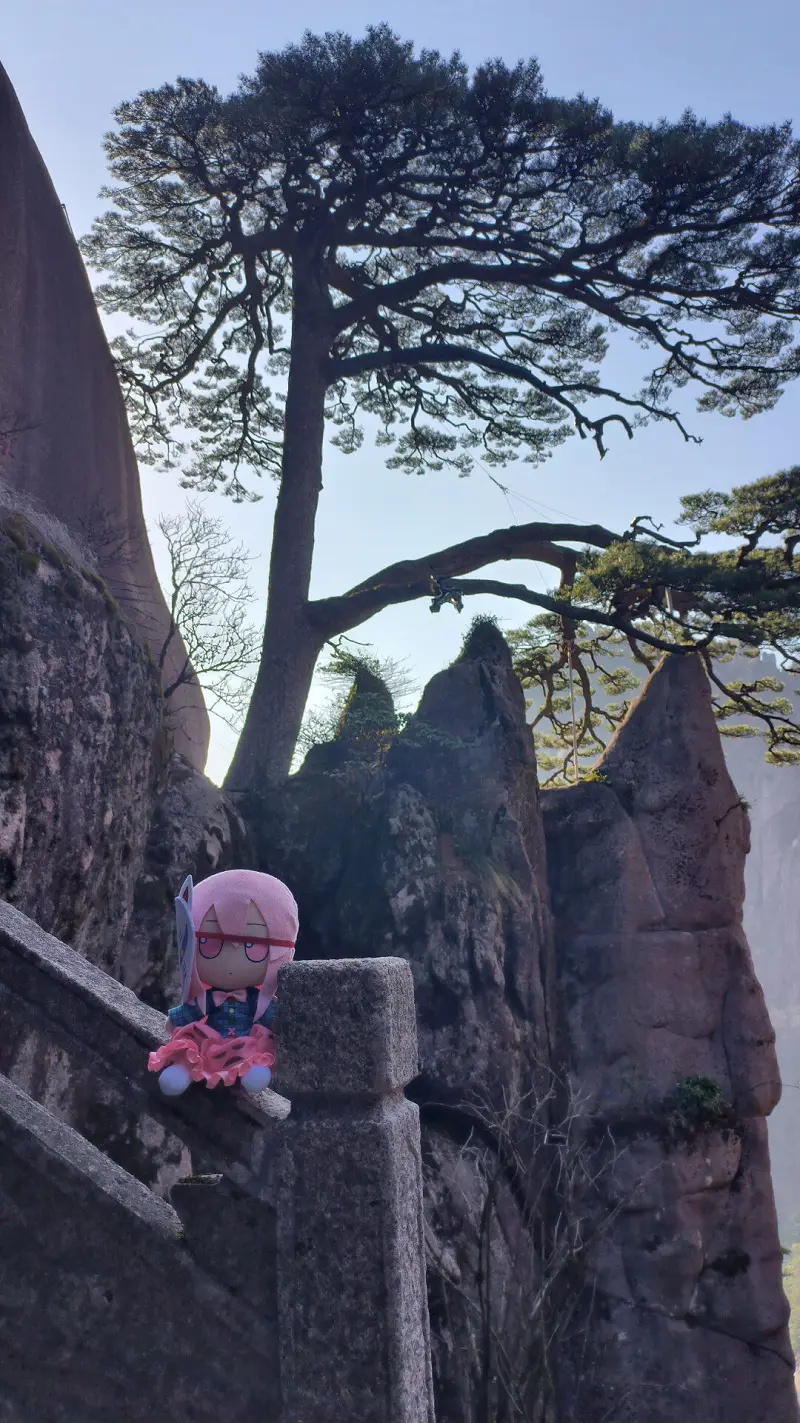 《FUMO在黄山》