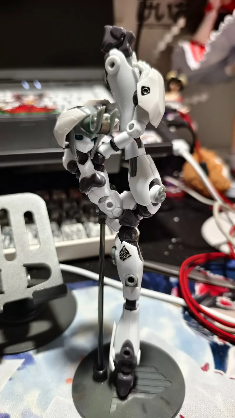 全开工作室多米拼装体验