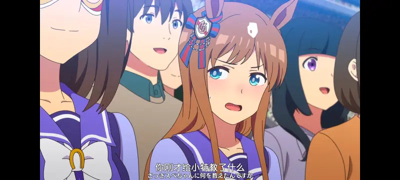 赛马娘,赛马娘PrettyDreby,动画,动漫,番剧,ACG